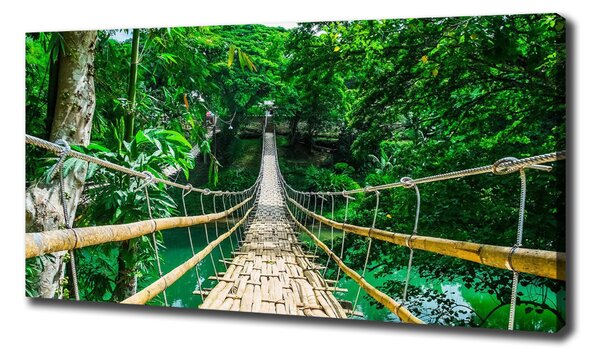 Tablou pe pânză Cele mai multe Rainforest