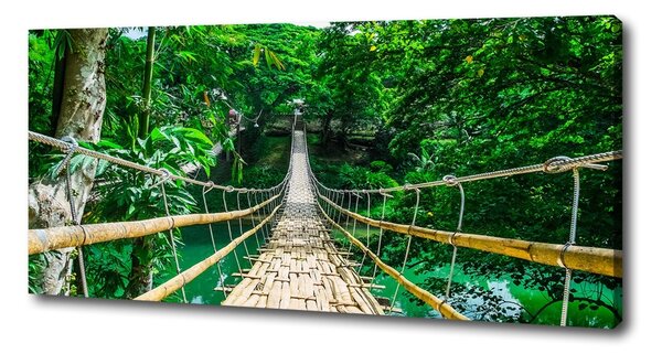 Tablou pe pânză Cele mai multe Rainforest
