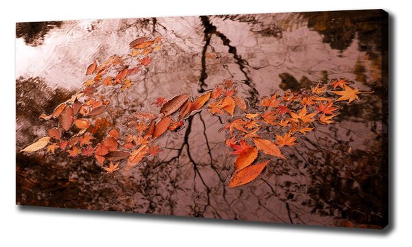 Pictură pe pânză frunze de apa