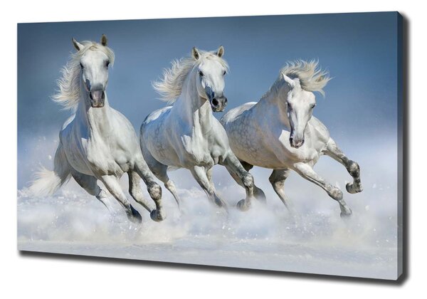 Print pe canvas galopantă Cai