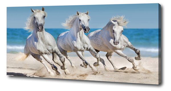 Tablou pe pânză White Beach Horse