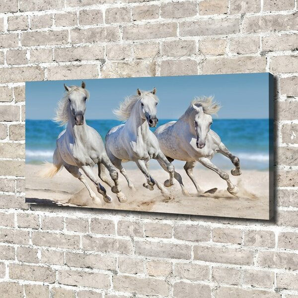 Tablou pe pânză White Beach Horse