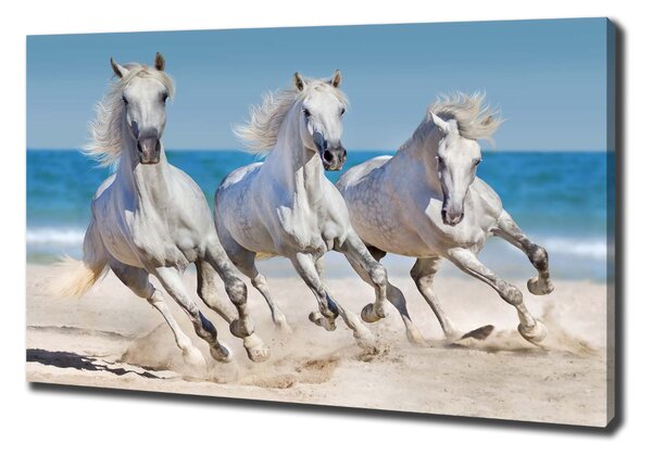 Tablou pe pânză White Beach Horse
