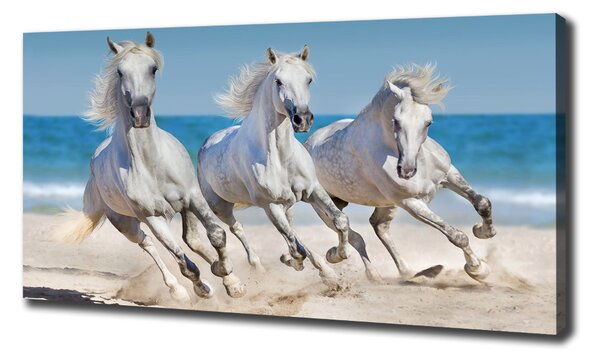 Tablou pe pânză White Beach Horse