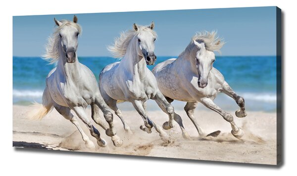 Tablou pe pânză White Beach Horse