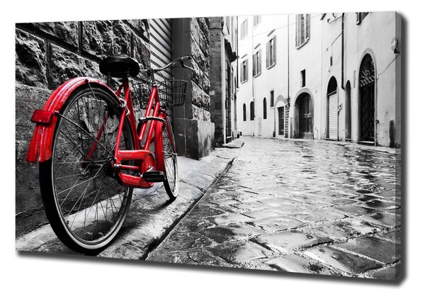 Pictură pe pânză bicicletă roșie