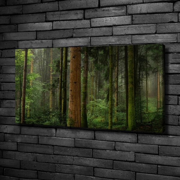 Tablou canvas Ceață în pădure