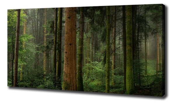 Tablou canvas Ceață în pădure