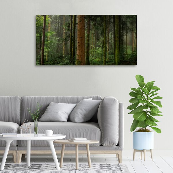 Tablou canvas Ceață în pădure