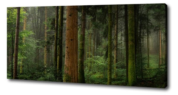 Tablou canvas Ceață în pădure