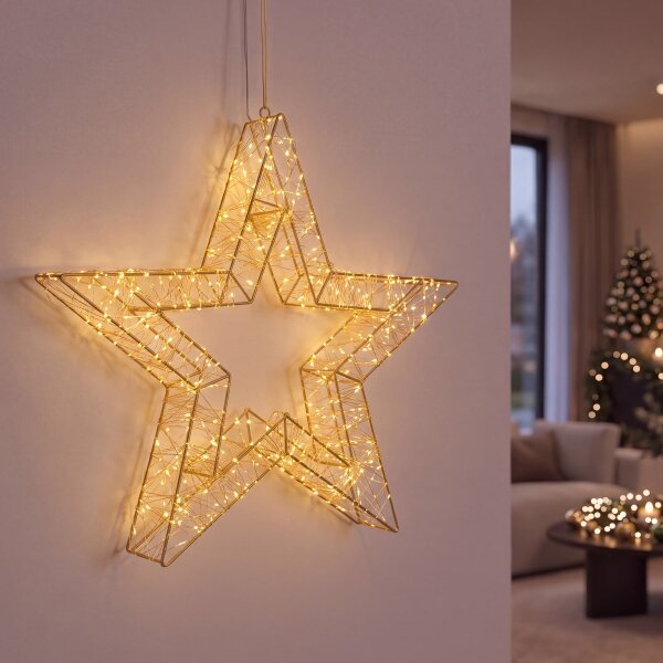 BRILAGI - LED Decorațiune de Crăciun pentru exterior LED/3,3W/230V IP44 50 cm stea