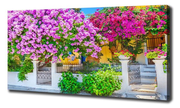Print pe canvas Casa cu bougainvillea