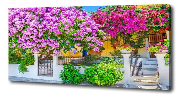 Print pe canvas Casa cu bougainvillea