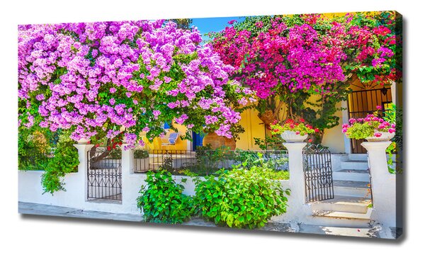 Print pe canvas Casa cu bougainvillea