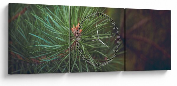 Tablou - Pin (cu ceas) (90x30 cm)