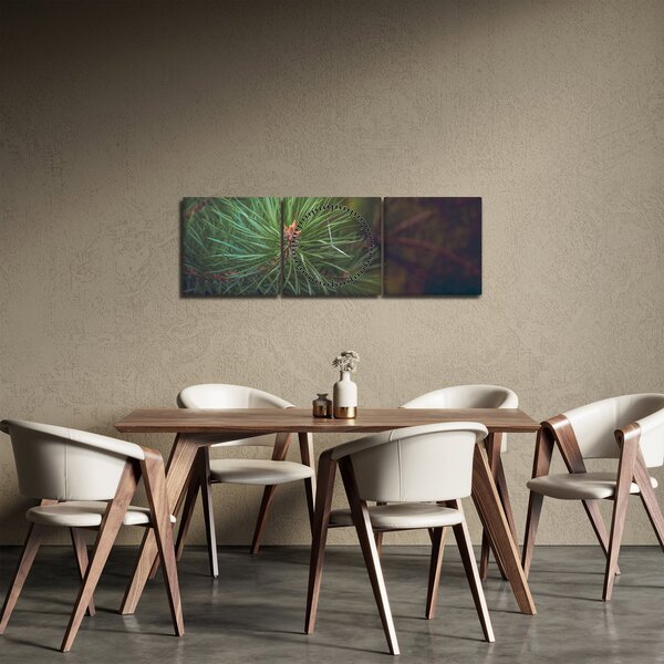 Tablou - Pin (cu ceas) (90x30 cm)