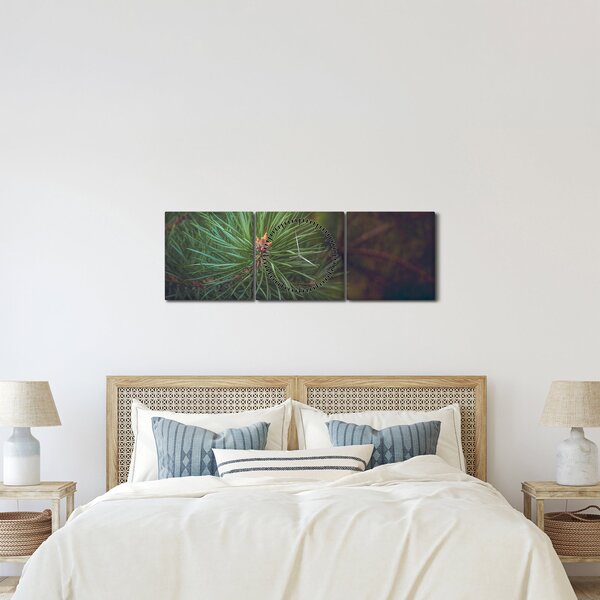 Tablou - Pin (cu ceas) (90x30 cm)