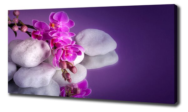 Tablou canvas Orhidee