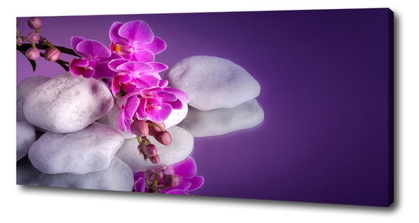 Tablou canvas Orhidee