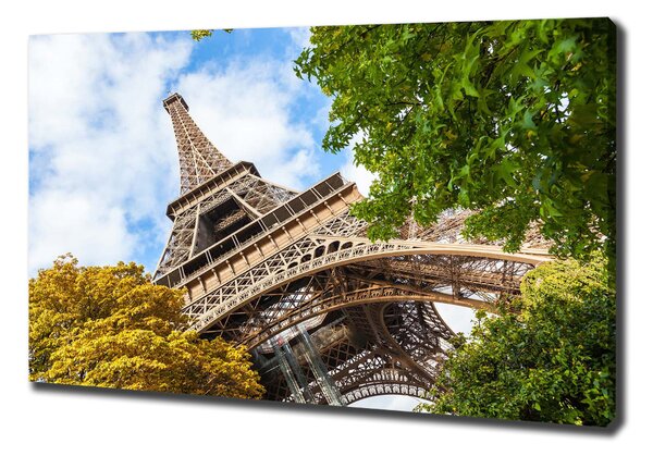 Pictură pe pânză Turnul Eiffel din Paris