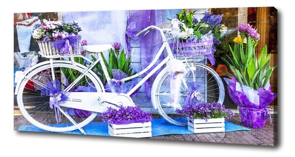 Pictură pe pânză bicicletă alb