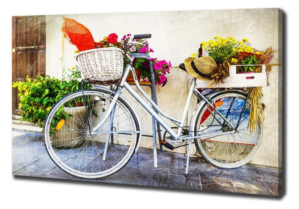 Print pe pânză bicicletă alb