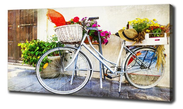 Print pe pânză bicicletă alb
