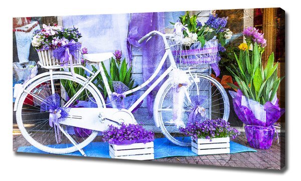 Pictură pe pânză bicicletă alb