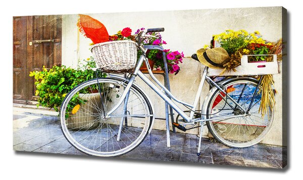 Print pe pânză bicicletă alb