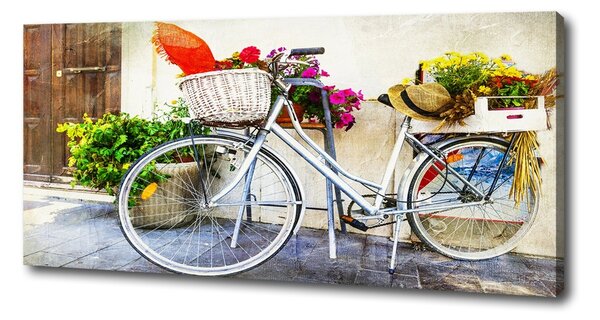 Print pe pânză bicicletă alb
