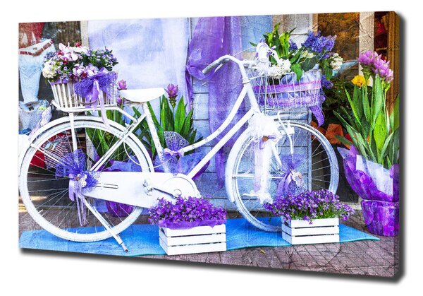 Pictură pe pânză bicicletă alb