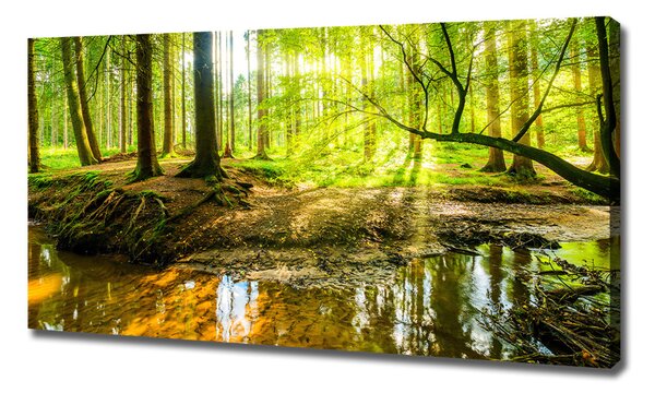 Tablou pe pânză canvas Iazul în pădure