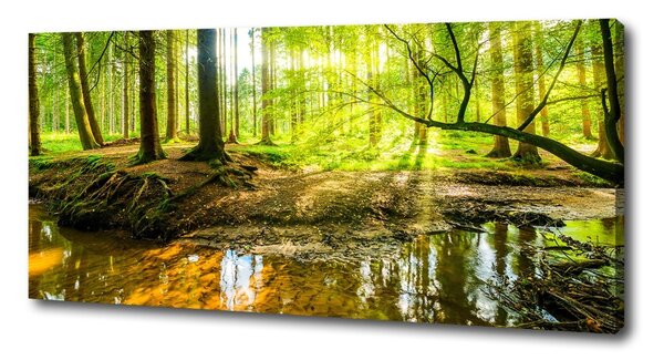 Tablou pe pânză canvas Iazul în pădure