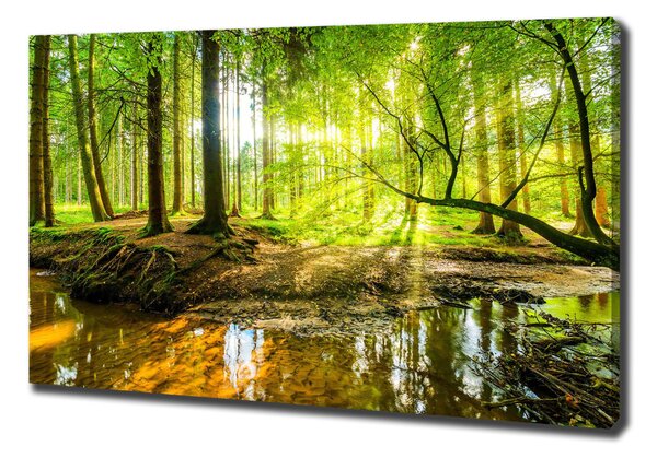 Tablou pe pânză canvas Iazul în pădure