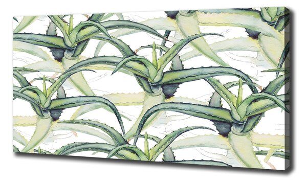 Pictură pe pânză Aloe