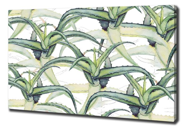 Pictură pe pânză Aloe