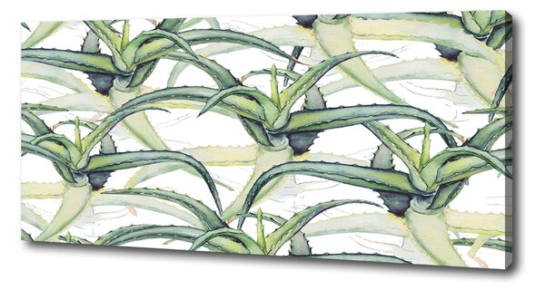 Pictură pe pânză Aloe