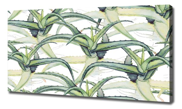 Pictură pe pânză Aloe