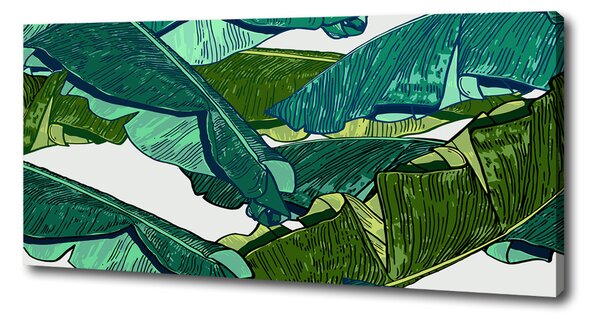 Print pe canvas frunze de bananier