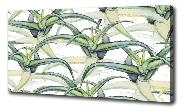 Pictură pe pânză Aloe