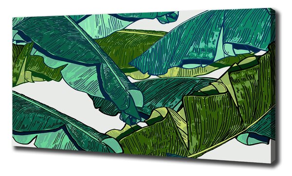 Print pe canvas frunze de bananier