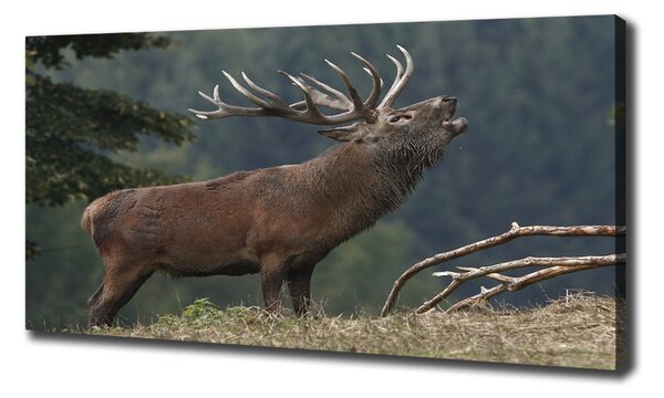 Tablouri tipărite pe pânză Deer pe deal