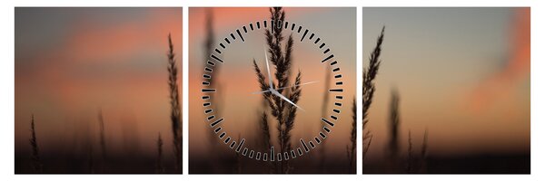 Tablou - Silueta plantei (cu ceas) (90x30 cm)