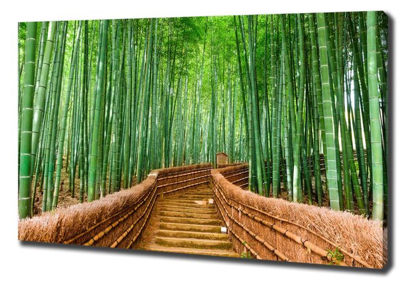 Tablou pe pânză pădure de bambus