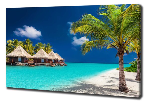 Tablou pe pânză canvas bungalow-uri Maldive