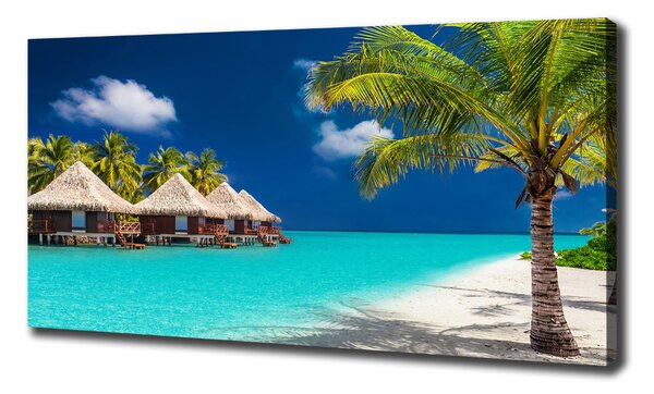 Tablou pe pânză canvas bungalow-uri Maldive