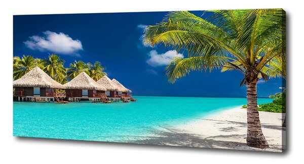 Tablou pe pânză canvas bungalow-uri Maldive