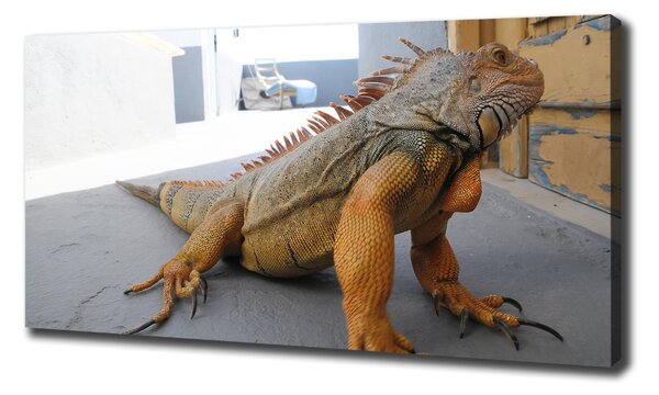 Tablou pe pânză Iguană