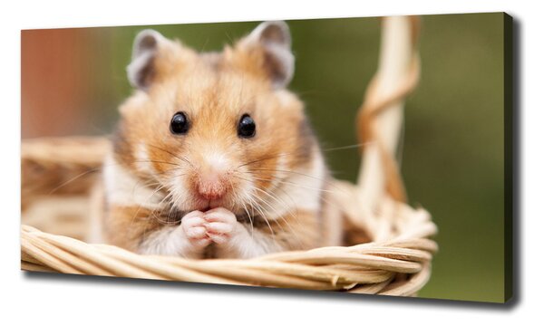 Tablouri tipărite pe pânză Hamster în coș