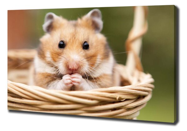 Tablouri tipărite pe pânză Hamster în coș